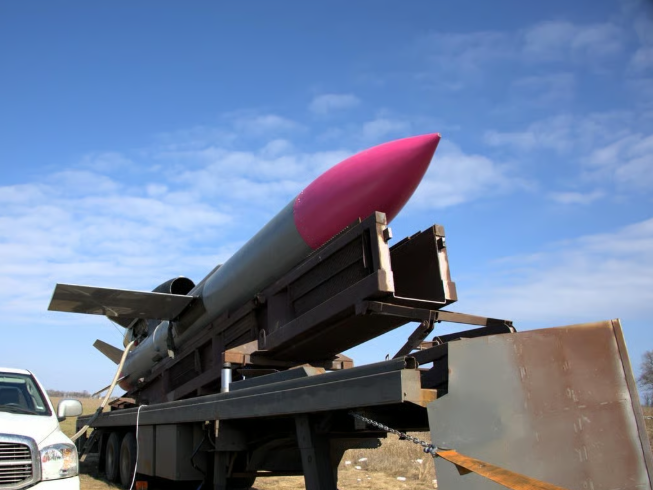 flamingo missile